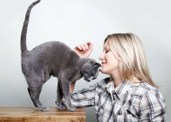 Исследователи раскрыли секрет общения с кошками